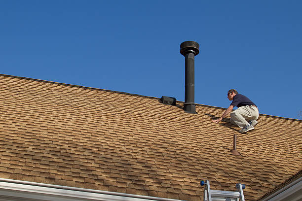 Best Roof Ventilation Installation  in Lake Crystal, MN
